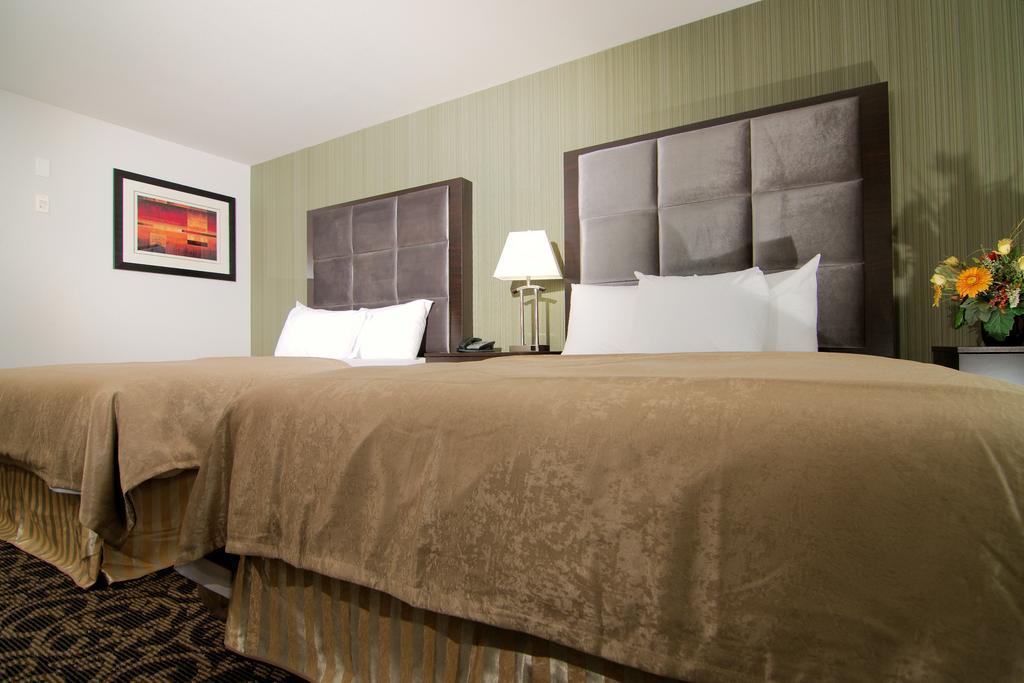 Paradise Inn And Suites Redwater Oda fotoğraf