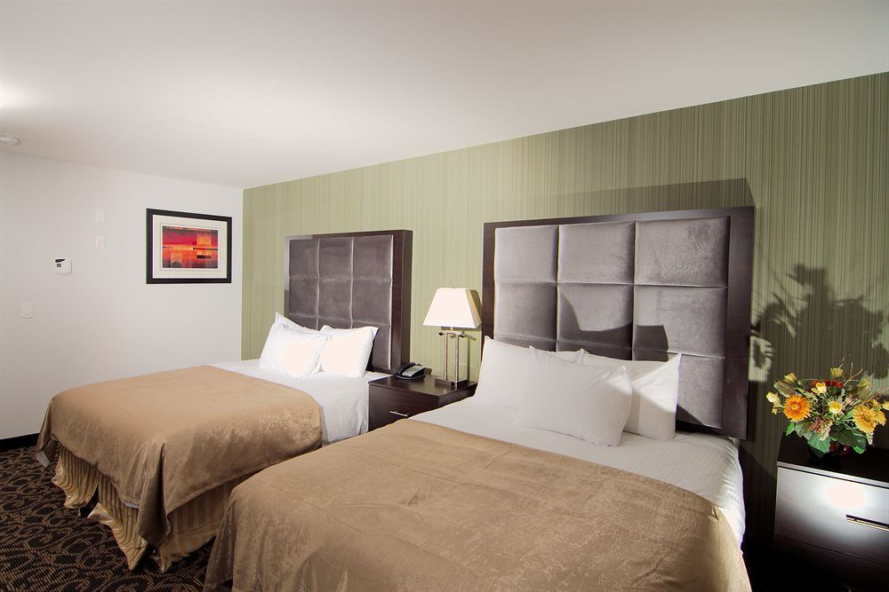 Paradise Inn And Suites Redwater Dış mekan fotoğraf